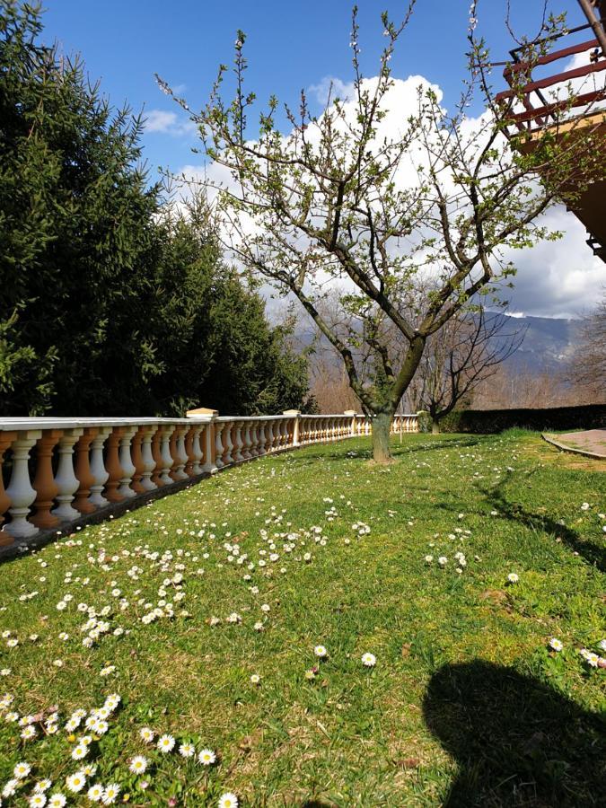 Pri Stari Murvi Vogrsko Exteriér fotografie