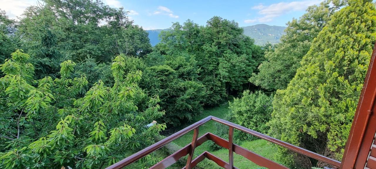 Pri Stari Murvi Vogrsko Exteriér fotografie