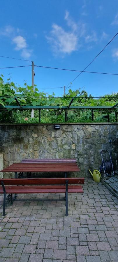Pri Stari Murvi Vogrsko Exteriér fotografie
