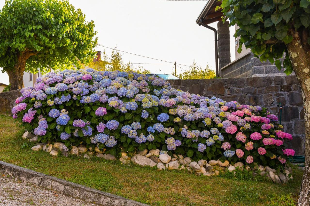 Pri Stari Murvi Vogrsko Exteriér fotografie