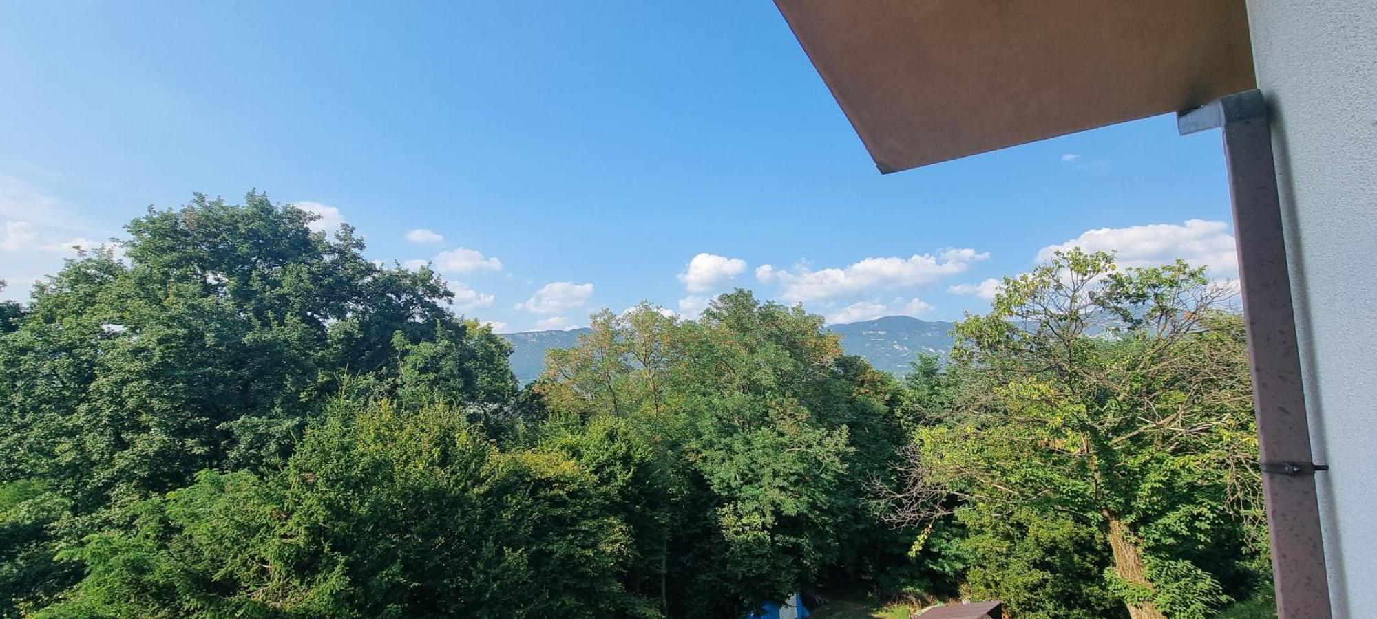 Pri Stari Murvi Vogrsko Exteriér fotografie